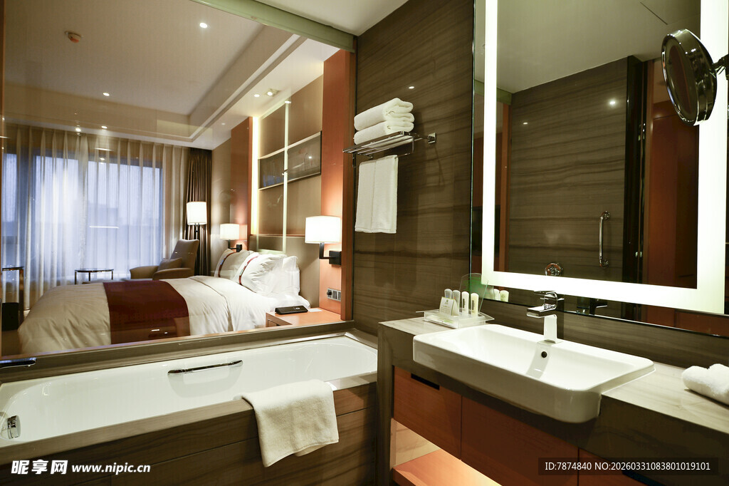 豪华酒店浴室与卧室景观