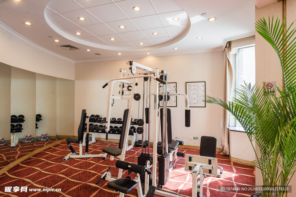 室内健身房多样健身设备