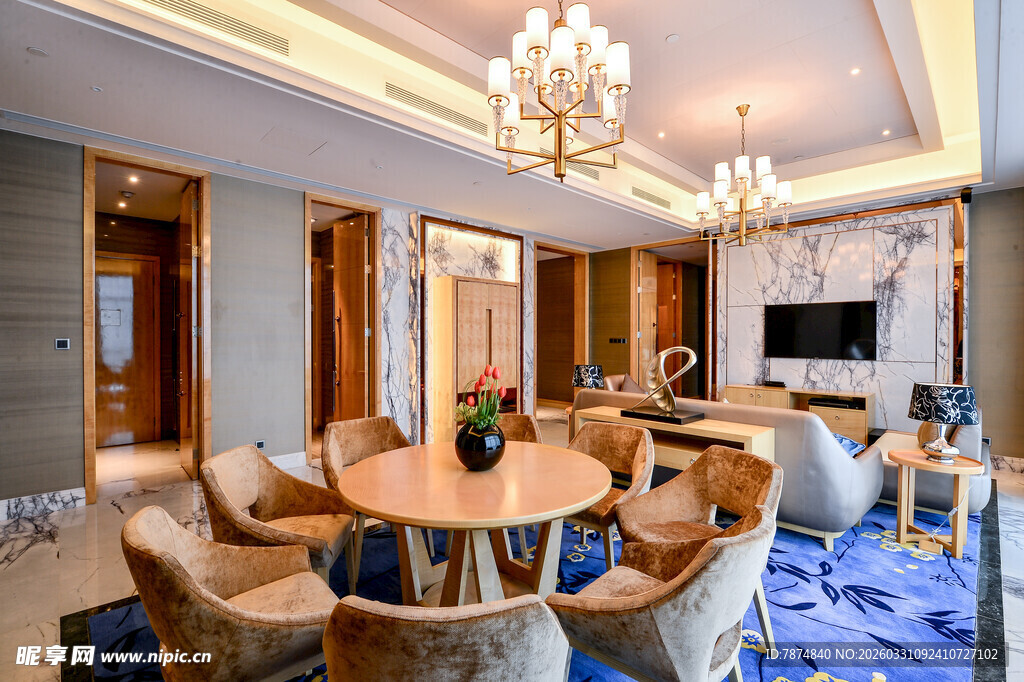 豪华客厅室内精致装饰场景