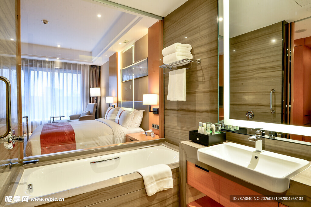 豪华酒店浴室与卧室景观