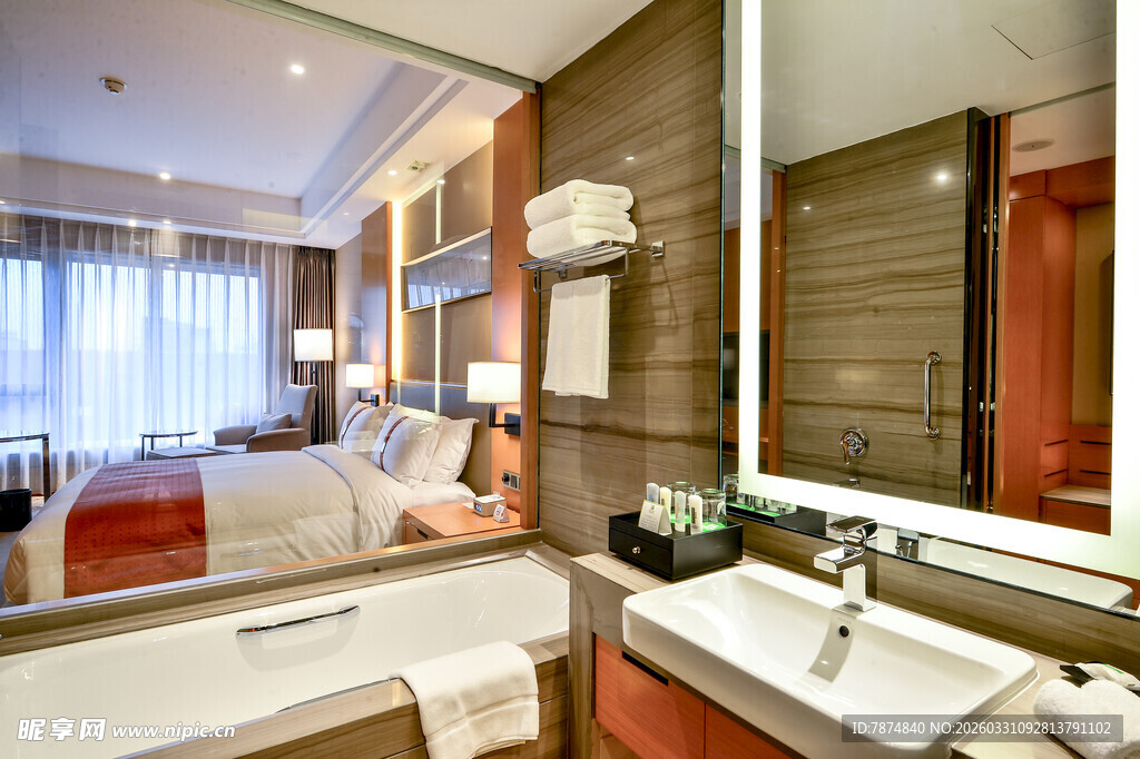 豪华酒店浴室与卧室景观