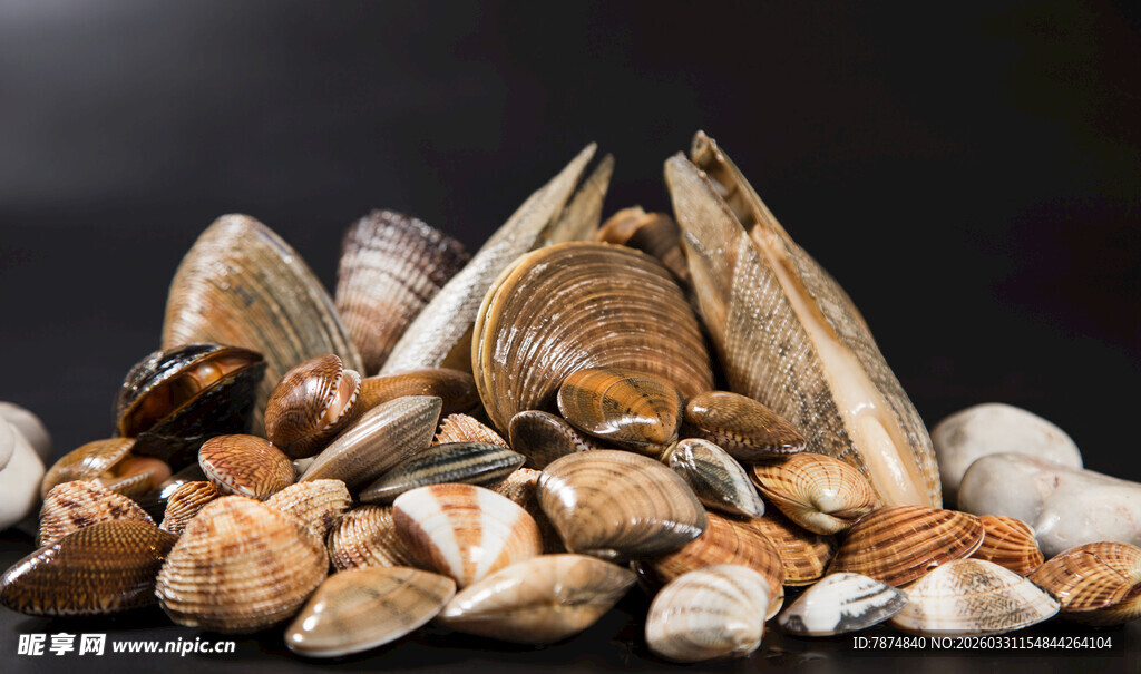 多彩海螺堆叠展示