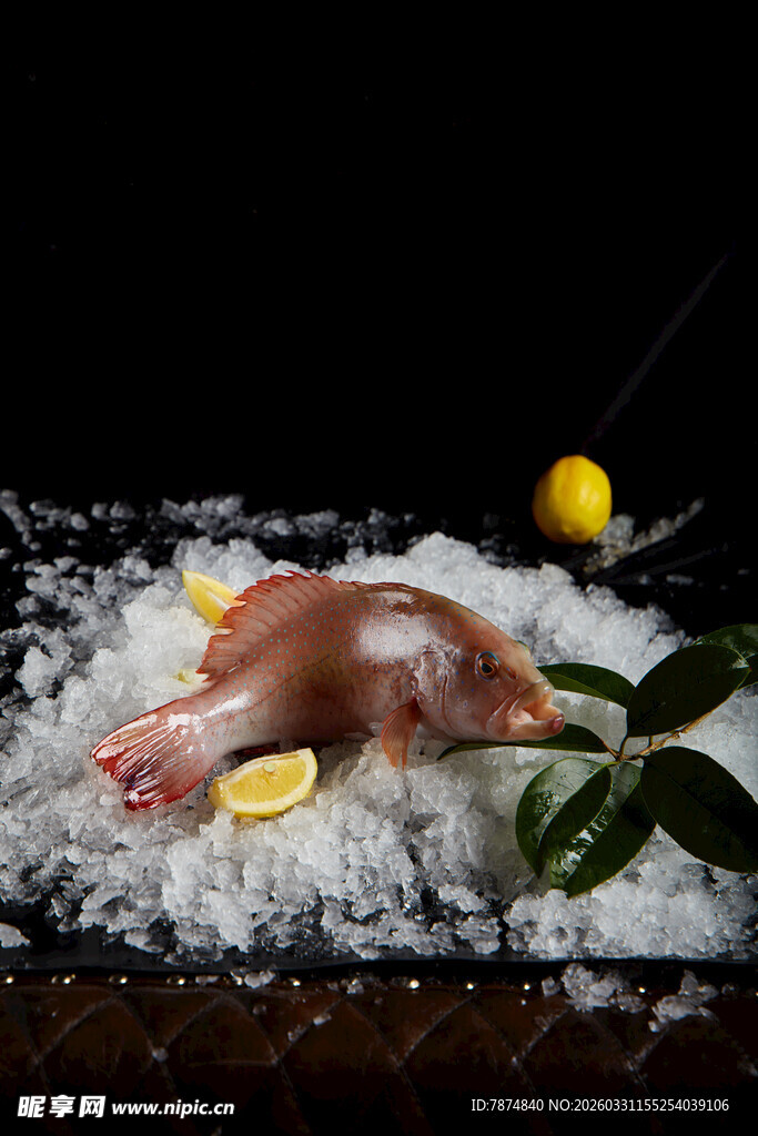 冰鲜海鲜 柠檬相伴