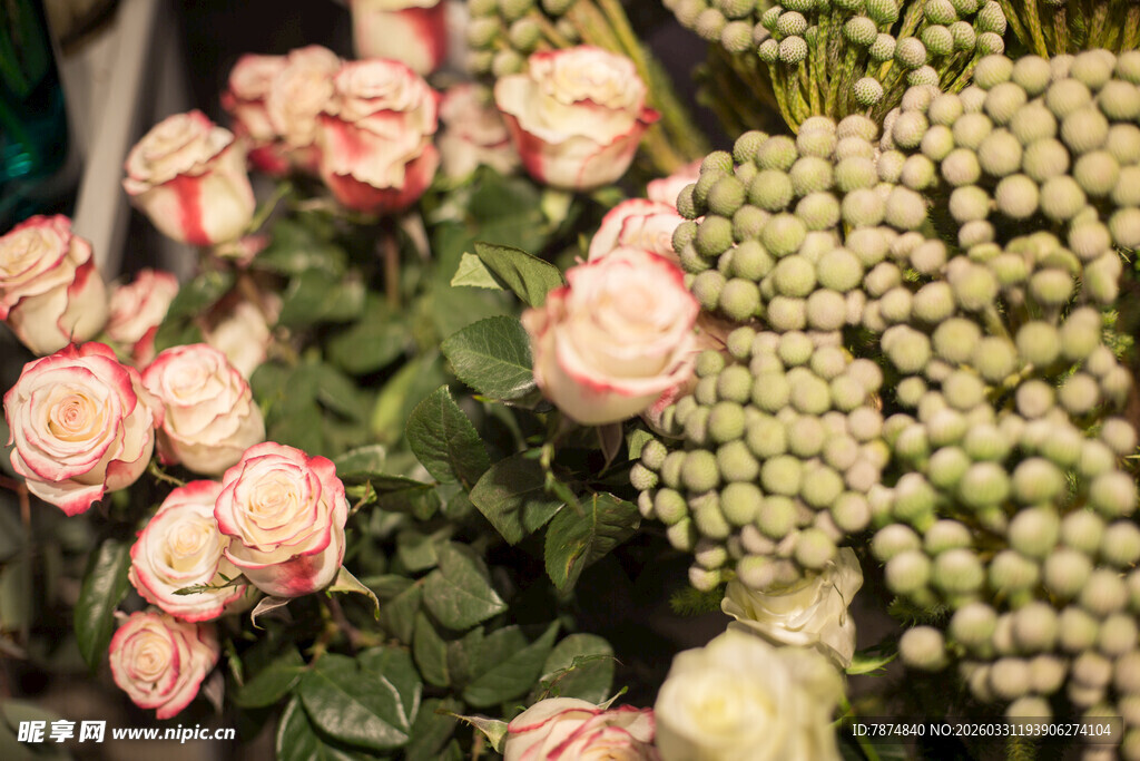 娇艳多彩的花卉组合