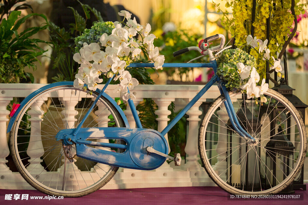 蓝色花饰自行车优雅展示