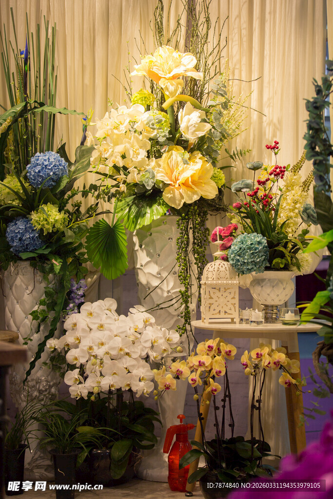 多彩花卉组合展示