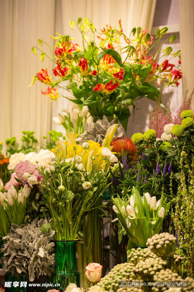 多彩花卉组合展示