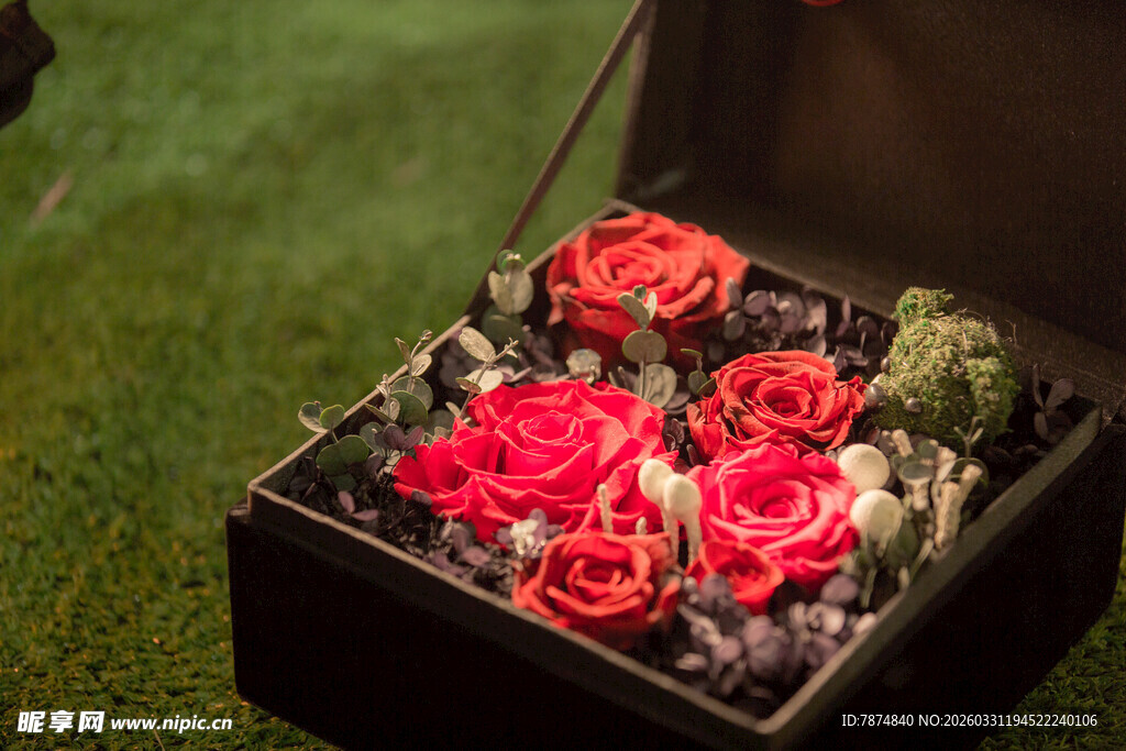 精致黑盒中的娇艳红玫瑰