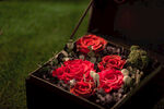 红玫瑰礼盒 浪漫之选