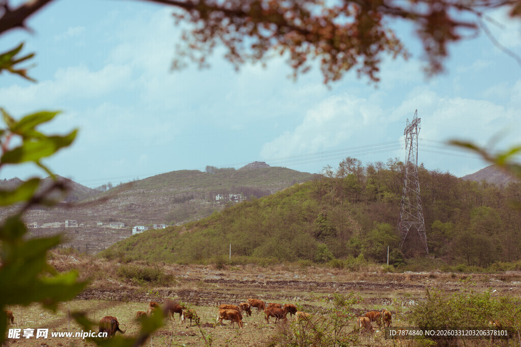 乡村田野间的悠然景致