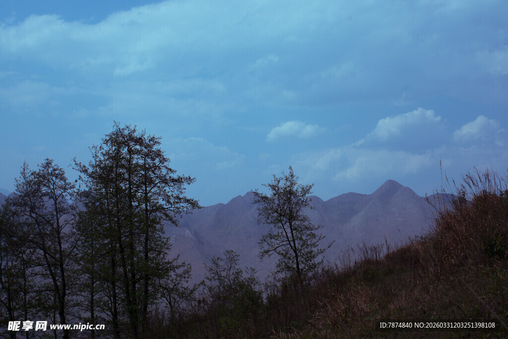 山间暮色中的树木与远山