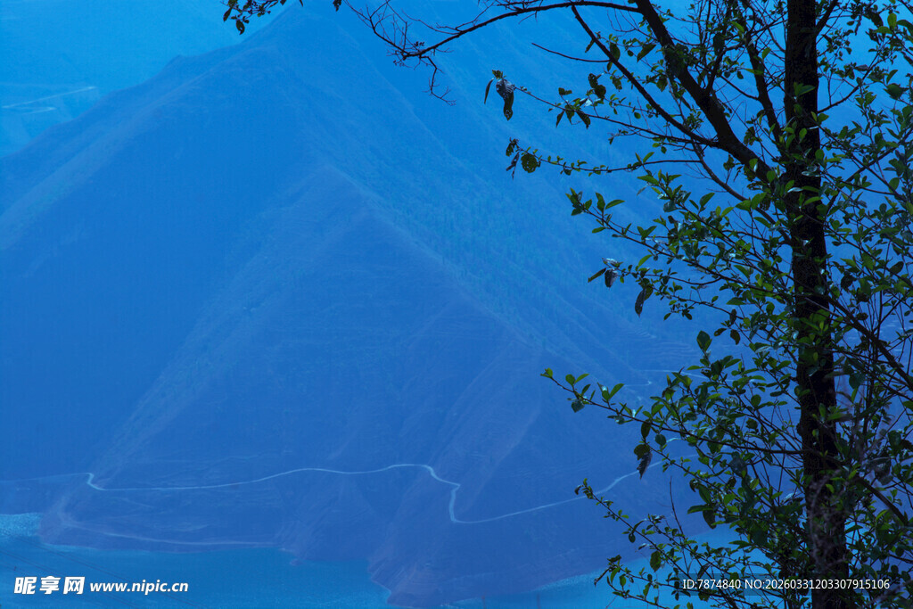 山间树影 静谧山水景致