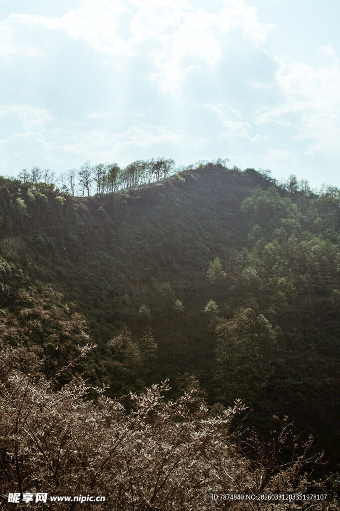 山间景色 植被繁茂