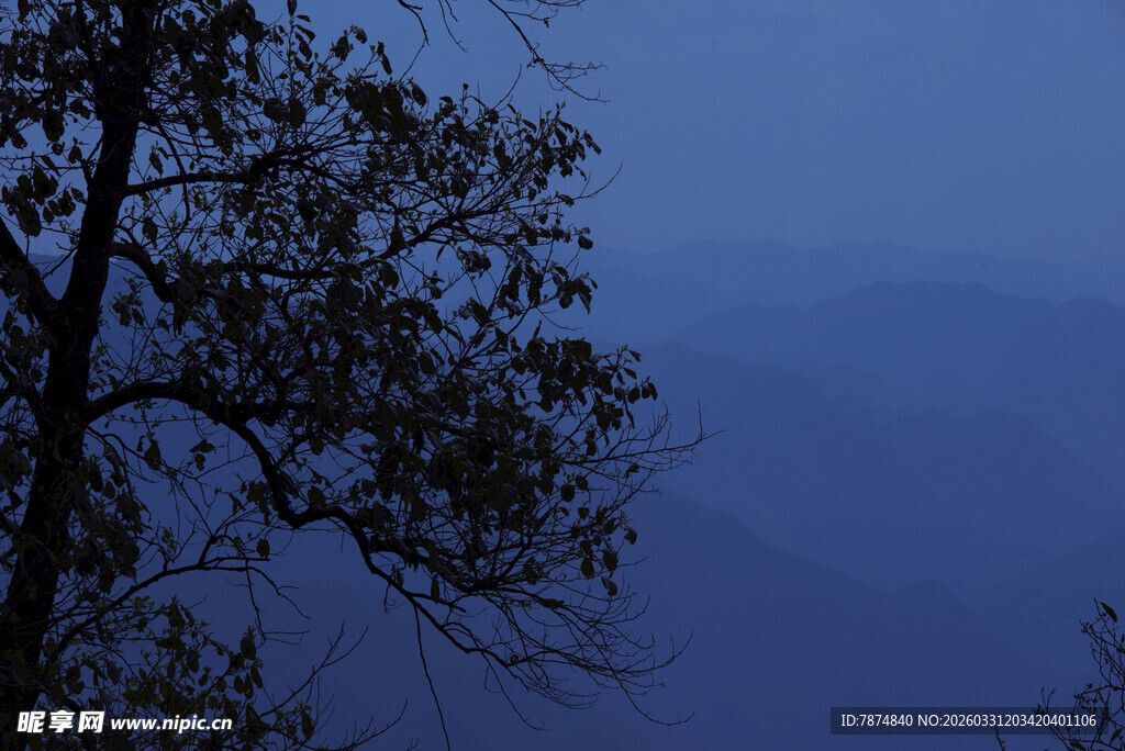 夜幕下的山林树梢景色