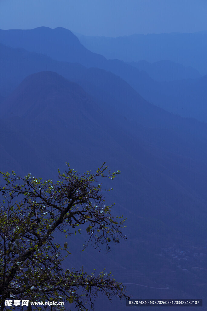 蓝调山间孤树景色