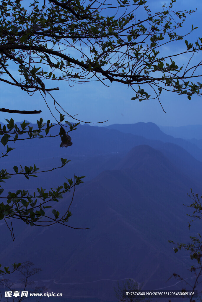 黄昏下的山峦与枝头景色