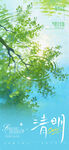 清新春日柳枝摇曳景象