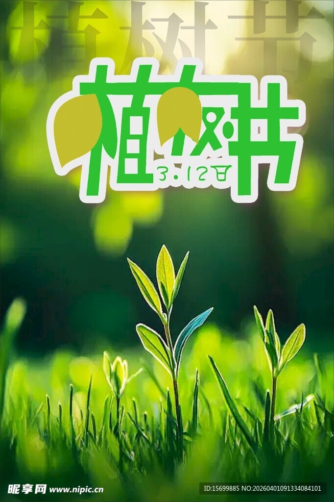 绿意盎然的植物世界