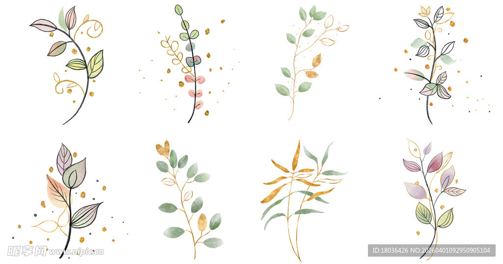 手绘清新植物花卉png合集