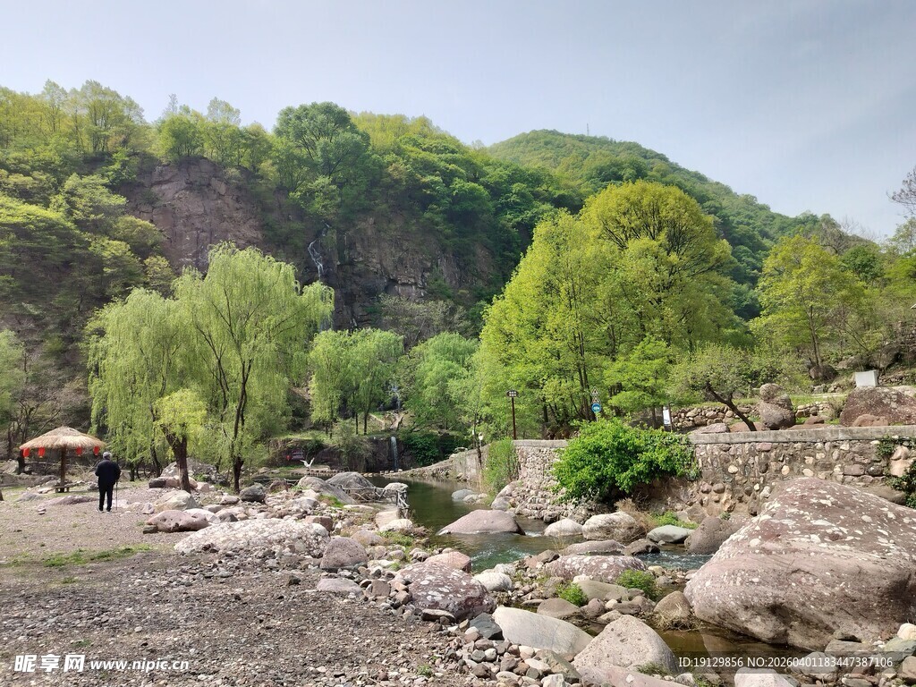 山间溪流旁的自然景致