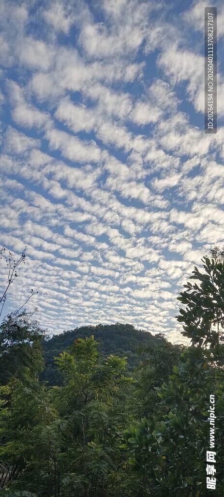 天空云层与林间景致