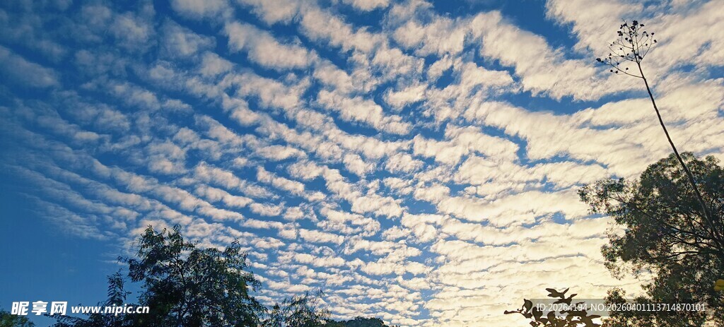 天空中梦幻的絮状云彩