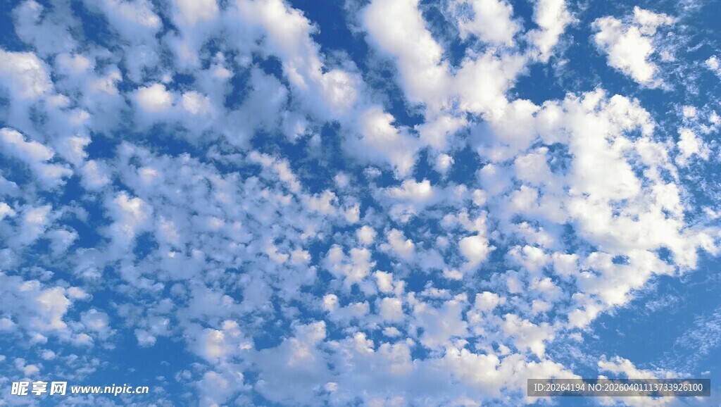 蓝天中的蓬松白云