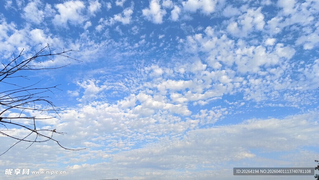 蓝天白云风景图
