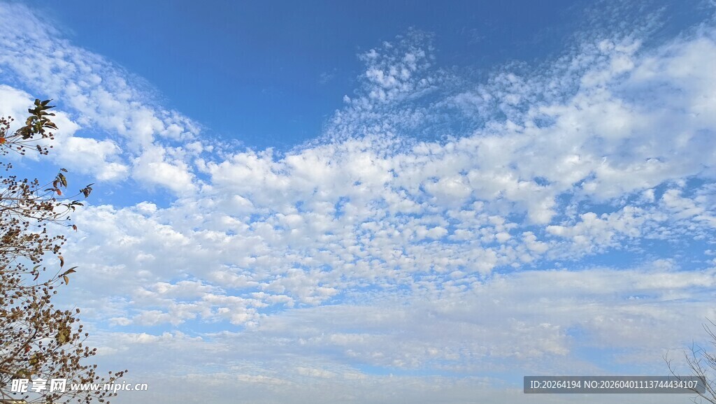 蓝天白云下的美丽景致