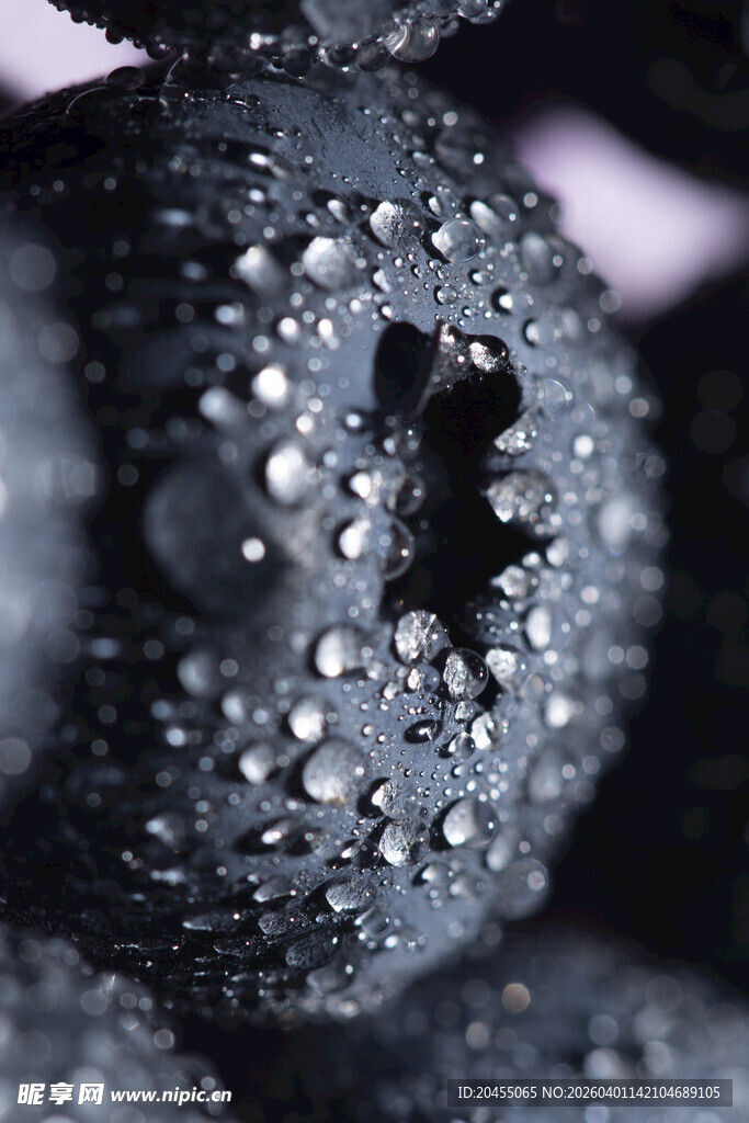 水珠覆盖的蓝莓