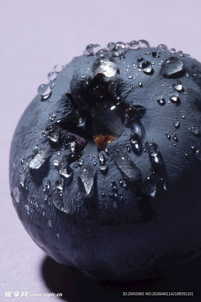 带水珠的黑紫色果实