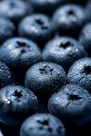 饱满多汁的新鲜蓝莓