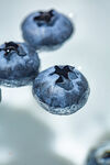 新鲜蓝莓特写
