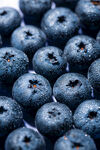饱满多汁的新鲜蓝莓