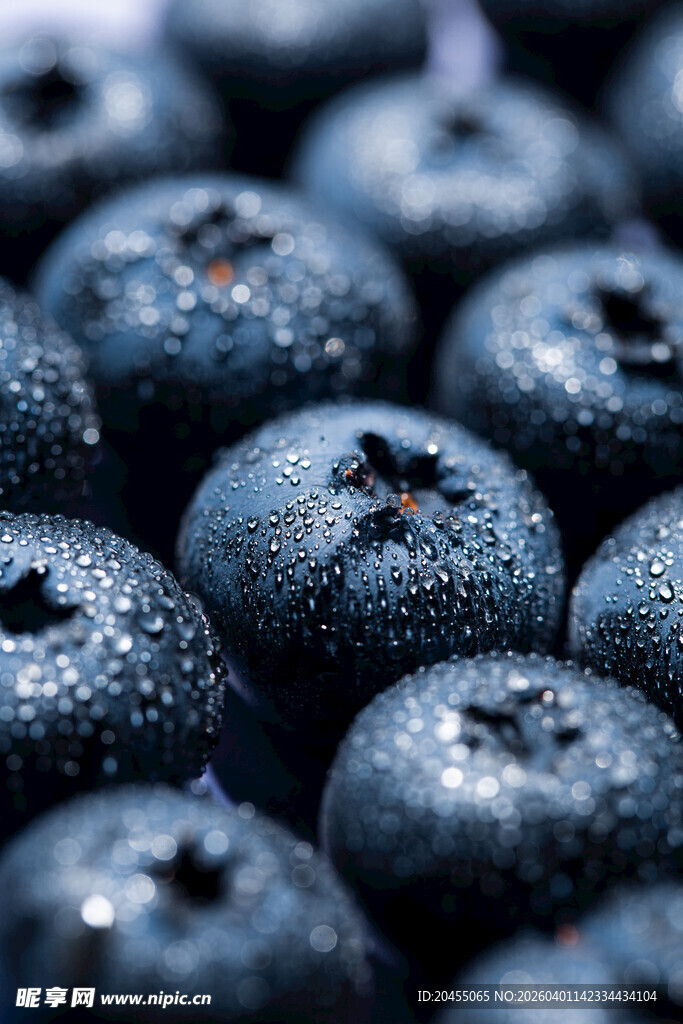 饱满带露的新鲜蓝莓