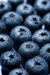 新鲜饱满的蓝莓