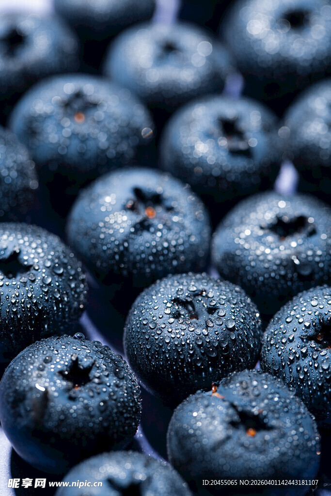 新鲜饱满的蓝莓