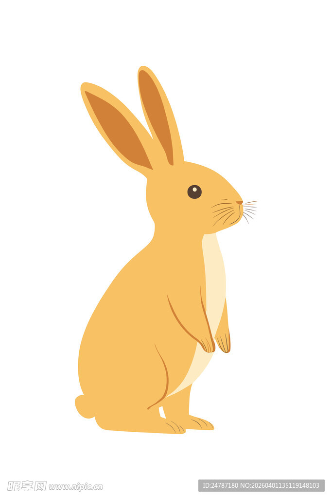 兔子插画