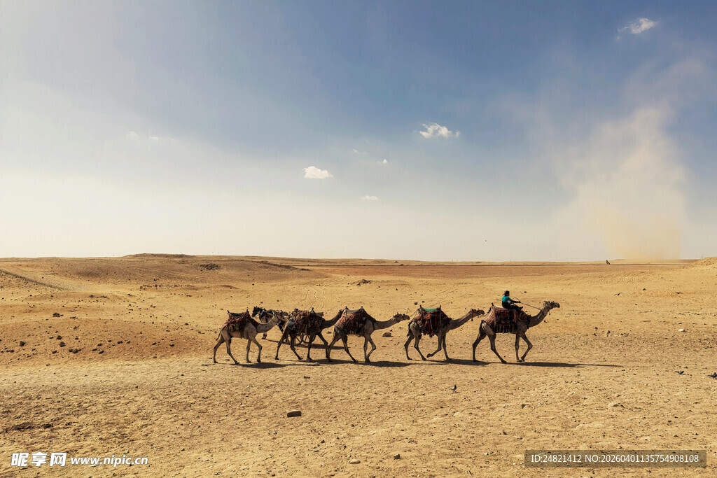 沙漠驼队行进壮丽景象