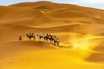 沙漠驼队穿行金色沙丘