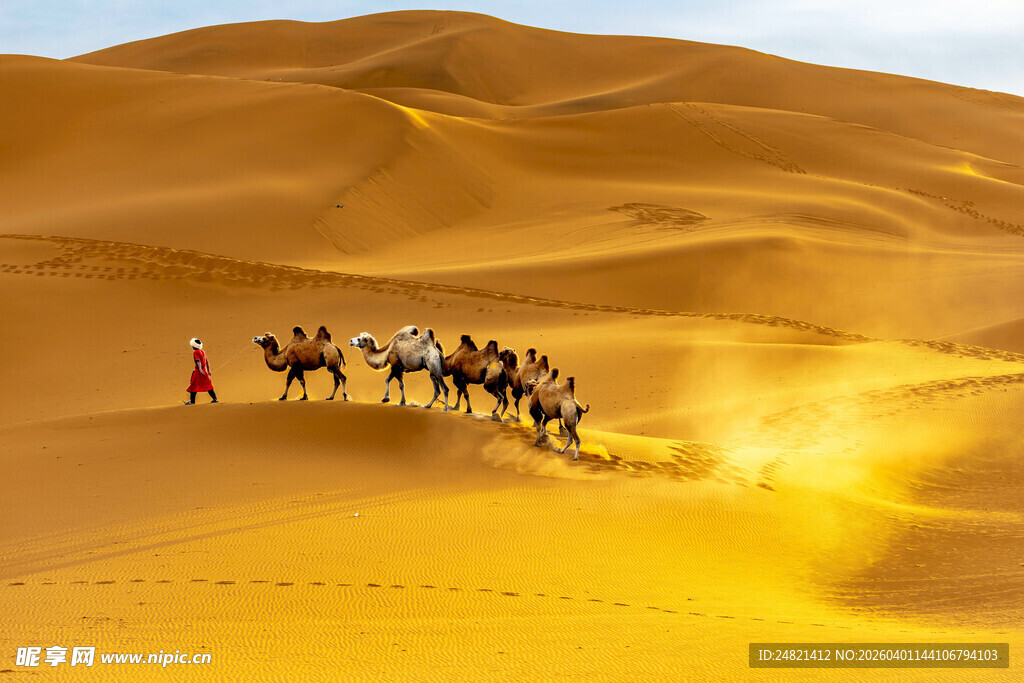 沙漠驼队穿行金色沙丘