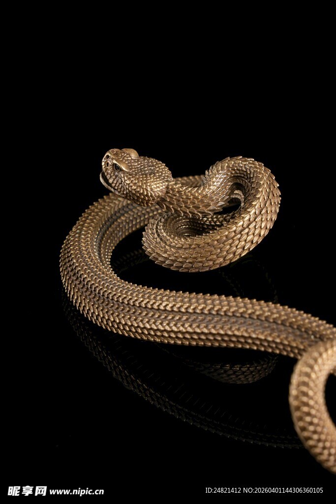 金色蛇形金属饰品