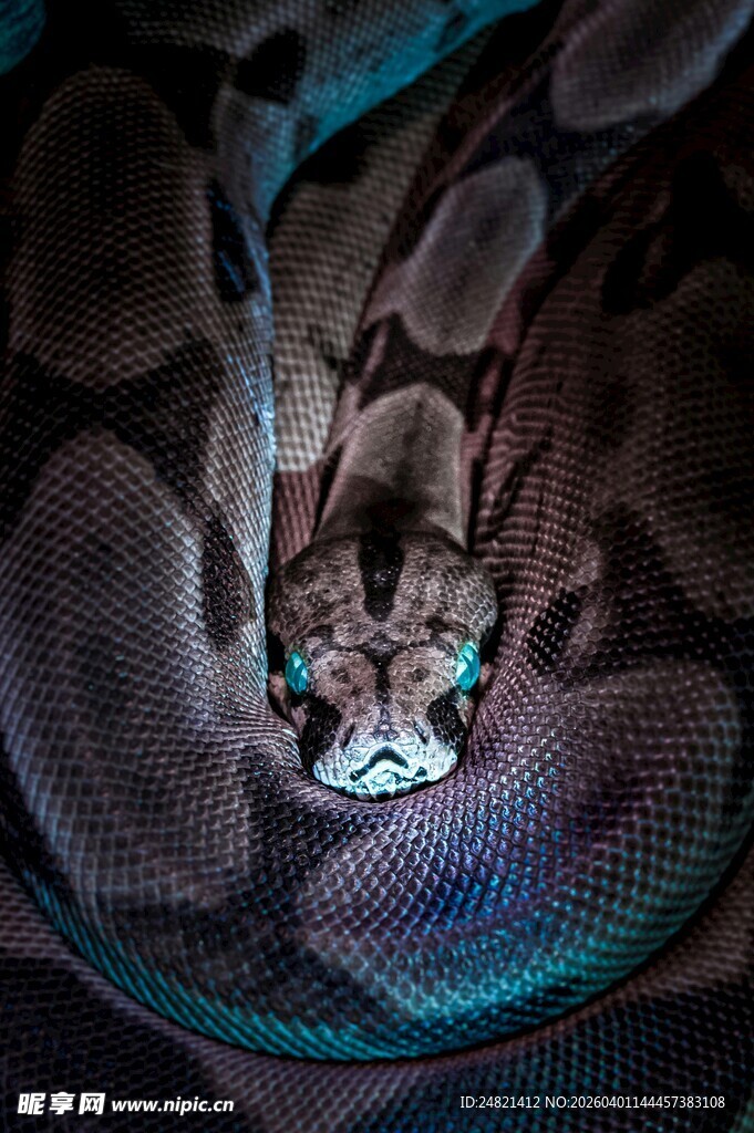 神秘机械心脏内的微小世界