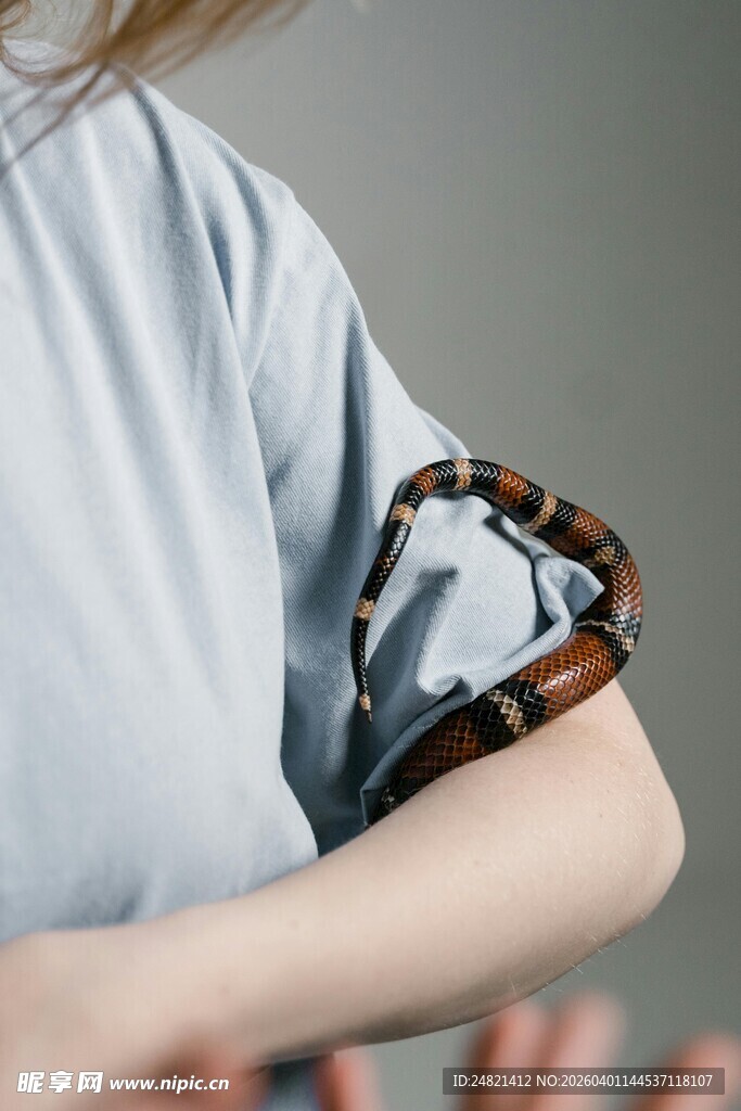 女士手腕佩戴时尚手表