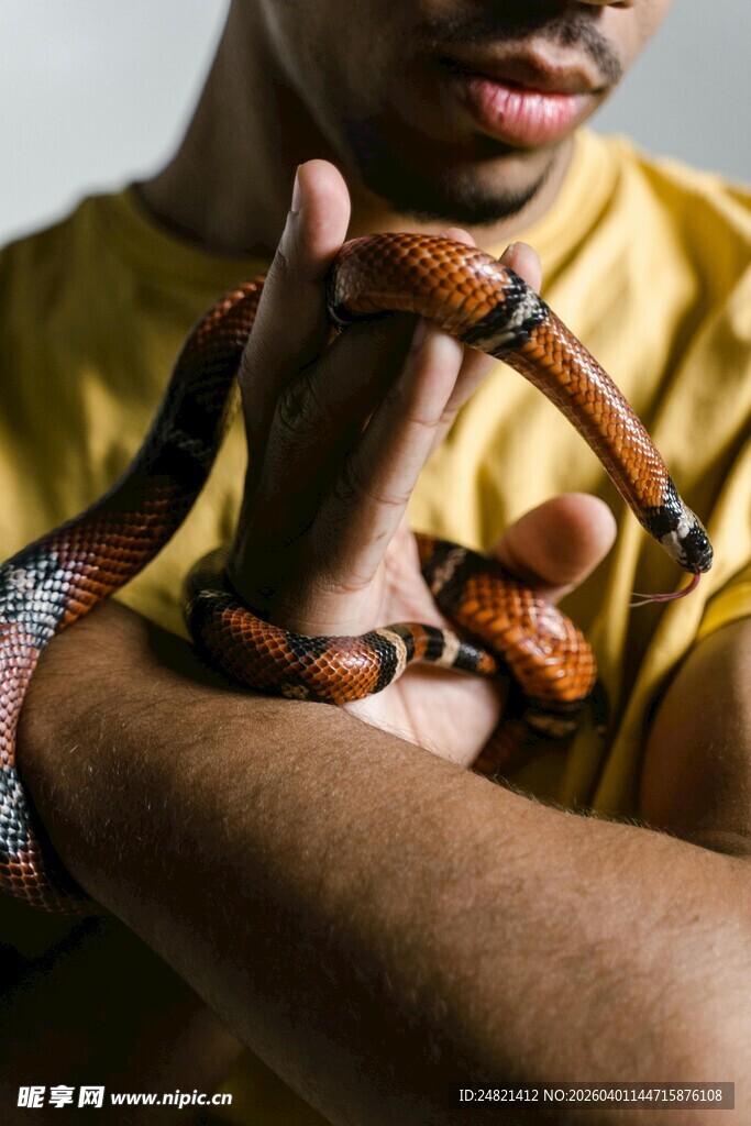 男子手持缠绕手臂的蛇
