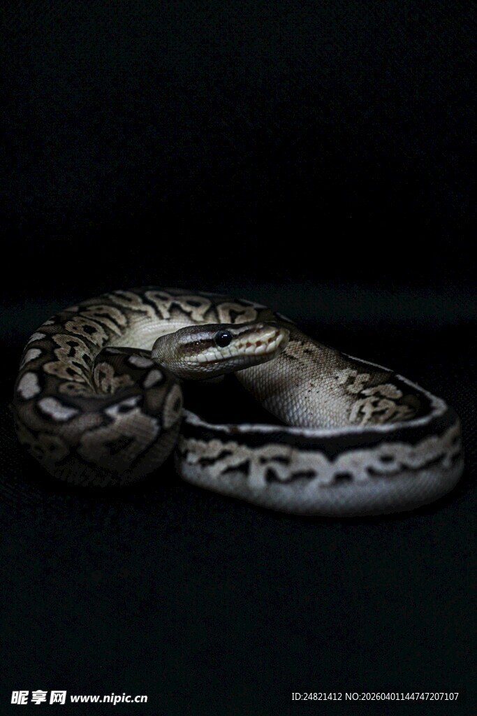 复古花纹银戒指