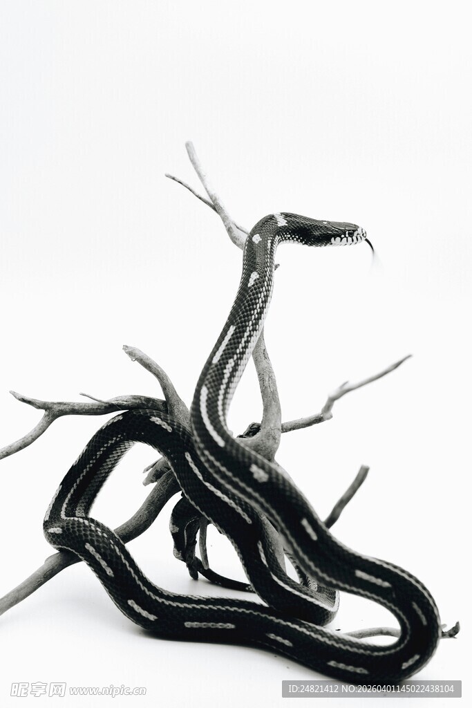 扭曲金属艺术雕塑