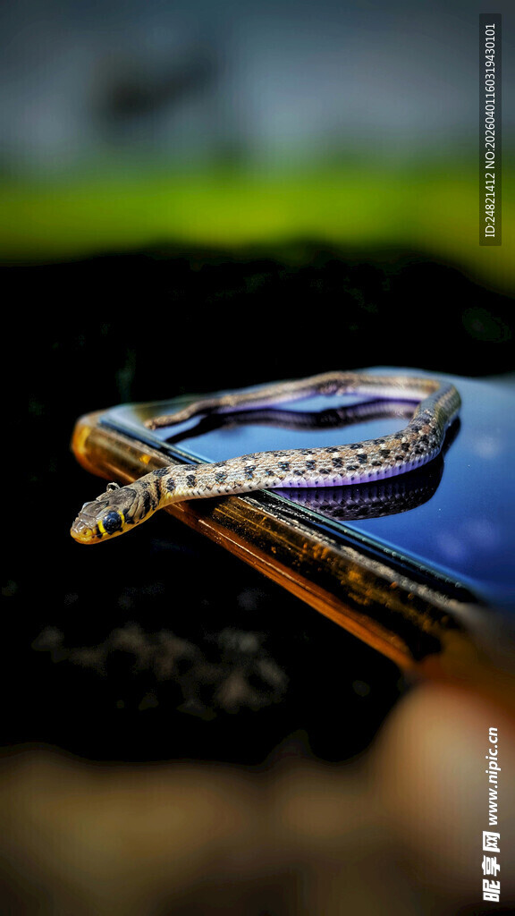 闪耀钻石戒指特写