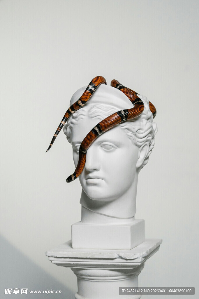 蛇缠石膏像头部艺术造型