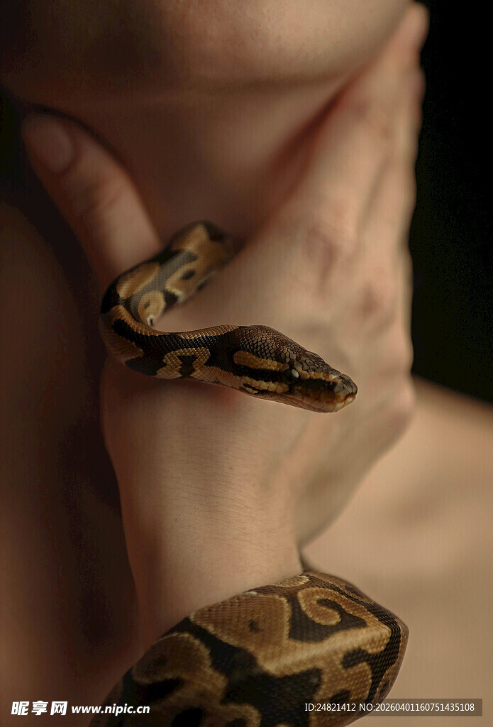 手缠花纹蛇的独特画面